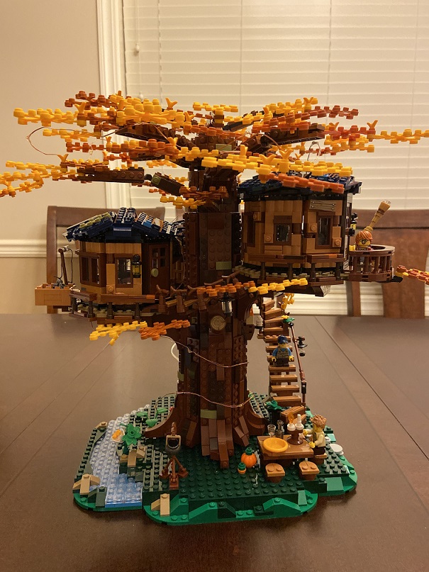 Tree house